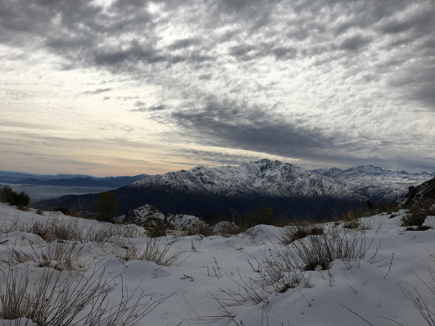 Vistas